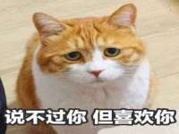 保定安双商贸有限公司