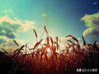 保定安双商贸有限公司