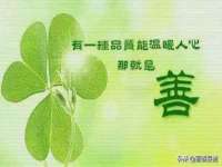 保定安双商贸有限公司