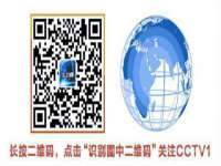 保定安双商贸有限公司