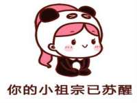 保定安双商贸有限公司