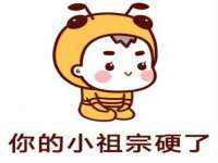 保定安双商贸有限公司