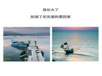 保定安双商贸有限公司