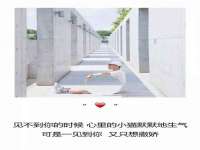 保定安双商贸有限公司