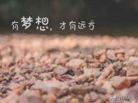 保定安双商贸有限公司