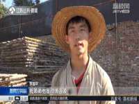 保定安双商贸有限公司