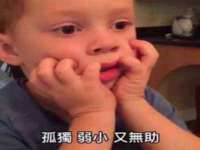 保定安双商贸有限公司