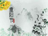 保定安双商贸有限公司