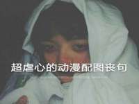 保定安双商贸有限公司