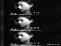 保定安双商贸有限公司