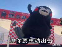 保定安双商贸有限公司