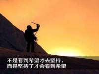 保定安双商贸有限公司