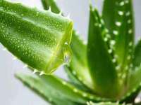 保定安双商贸有限公司