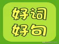 保定安双商贸有限公司