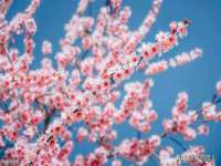 保定安双商贸有限公司
