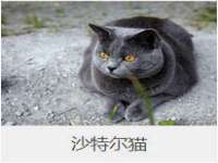 保定安双商贸有限公司