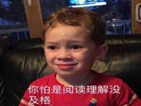 保定安双商贸有限公司