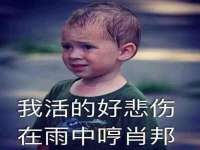 保定安双商贸有限公司