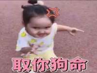 保定安双商贸有限公司