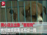 保定安双商贸有限公司