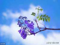 保定安双商贸有限公司