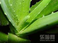 保定安双商贸有限公司