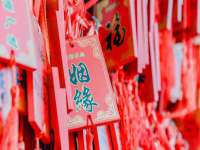 保定安双商贸有限公司