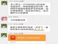 保定安双商贸有限公司