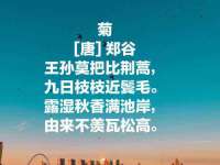 保定安双商贸有限公司