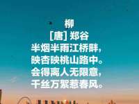 保定安双商贸有限公司