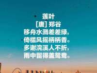 保定安双商贸有限公司