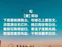 保定安双商贸有限公司