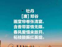 保定安双商贸有限公司