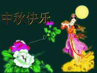 保定安双商贸有限公司