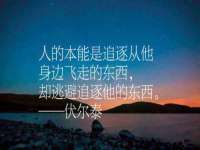 保定安双商贸有限公司