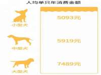 保定安双商贸有限公司