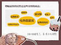 保定安双商贸有限公司