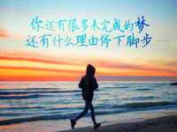 保定安双商贸有限公司