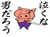 保定安双商贸有限公司