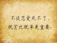 保定安双商贸有限公司