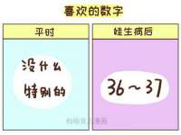 保定安双商贸有限公司