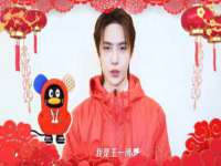 保定安双商贸有限公司