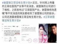 保定安双商贸有限公司