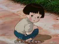 保定安双商贸有限公司