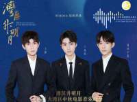 保定安双商贸有限公司