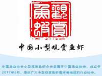 保定安双商贸有限公司