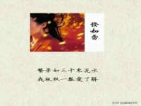 保定安双商贸有限公司