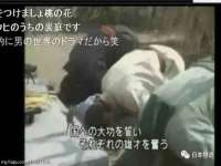 保定安双商贸有限公司