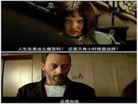 保定安双商贸有限公司
