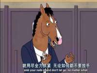 保定安双商贸有限公司